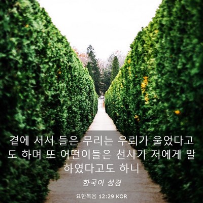 Picture 03 - 요한복음 12:29 KOR - 곁에 서서 들은 무리는 우뢰가 - Bible Verse Picture