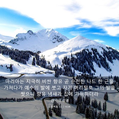 Picture 03 - 요한복음 12:3 KOR - 마리아는 지극히 비싼 향유 곧 - Bible Verse Picture