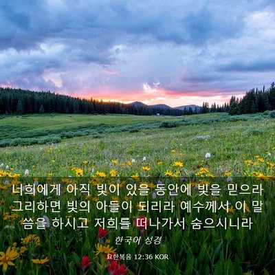 Picture 03 - 요한복음 12:36 KOR - 너희에게 아직 빛이 있을 동안에 - Bible Verse Picture
