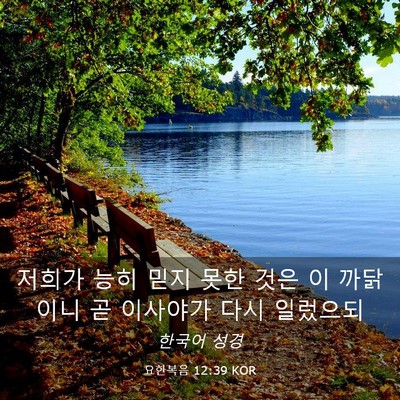 Picture 03 - 요한복음 12:39 KOR - 저희가 능히 믿지 못한 것은 이 - Bible Verse Picture