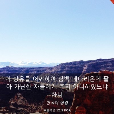 Picture 03 - 요한복음 12:5 KOR - 이 향유를 어찌하여 삼백 데나리온에 - Bible Verse Picture