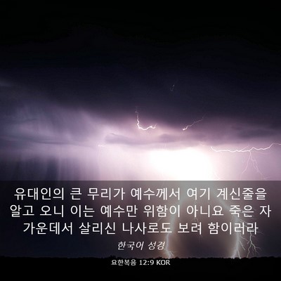 Picture 03 - 요한복음 12:9 KOR - 유대인의 큰 무리가 예수께서 여기 - Bible Verse Picture