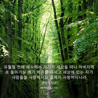 Picture 03 - 요한복음 13:1 KOR - 유월절 전에 예수께서 자기가 세상을 - Bible Verse Picture