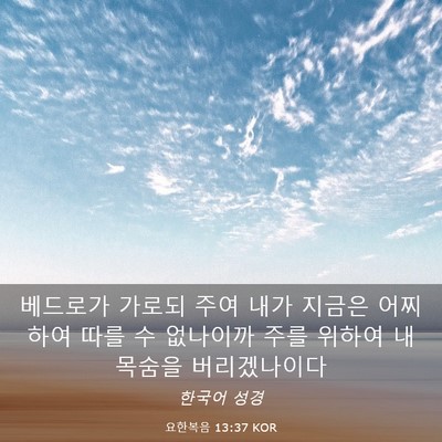 Picture 03 - 요한복음 13:37 KOR - 베드로가 가로되 주여 내가 지금은 - Bible Verse Picture