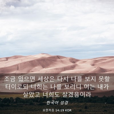 Picture 03 - 요한복음 14:19 KOR - 조금 있으면 세상은 다시 나를 보지 - Bible Verse Picture