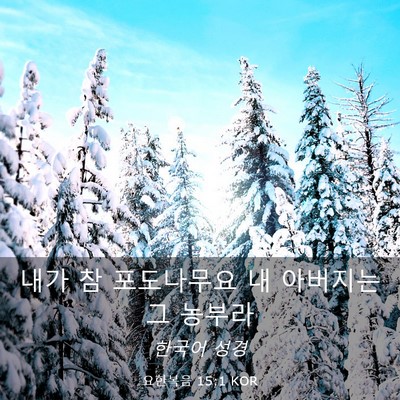 Picture 03 - 요한복음 15:1 KOR - 내가 참 포도나무요 내 아버지는 그 - Bible Verse Picture