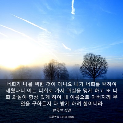 Picture 03 - 요한복음 15:16 KOR - 너희가 나를 택한 것이 아니요 내가 - Bible Verse Picture
