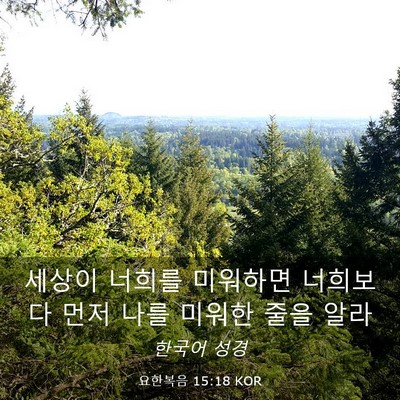 Picture 03 - 요한복음 15:18 KOR - 세상이 너희를 미워하면 너희보다 - Bible Verse Picture