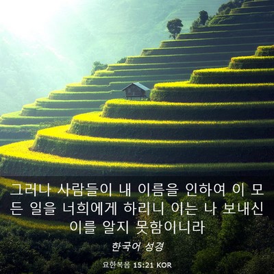 Picture 03 - 요한복음 15:21 KOR - 그러나 사람들이 내 이름을 인하여 - Bible Verse Picture