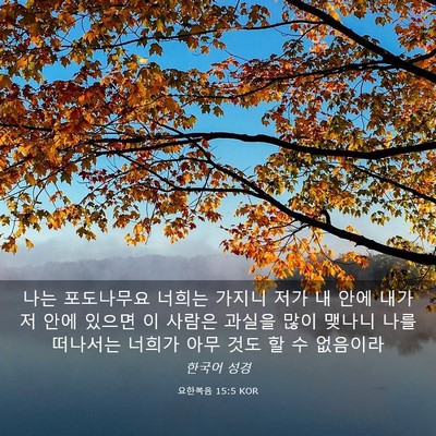 Picture 03 - 요한복음 15:5 KOR - 나는 포도나무요 너희는 가지니 저가 - Bible Verse Picture