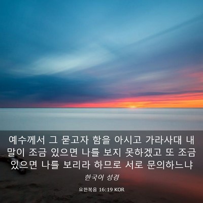 Picture 03 - 요한복음 16:19 KOR - 예수께서 그 묻고자 함을 아시고 - Bible Verse Picture