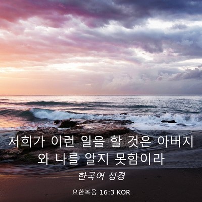 Picture 03 - 요한복음 16:3 KOR - 저희가 이런 일을 할 것은 아버지와 - Bible Verse Picture