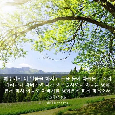 Picture 03 - 요한복음 17:1 KOR - 예수께서 이 말씀을 하시고 눈을 - Bible Verse Picture