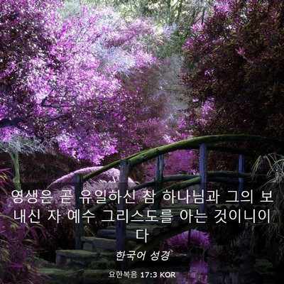 Picture 03 - 요한복음 17:3 KOR - 영생은 곧 유일하신 참 하나님과 - Bible Verse Picture