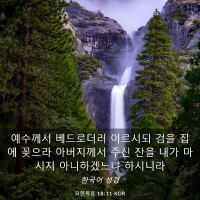 Picture 03 - 요한복음 18:11 KOR - 예수께서 베드로더러 이르시되 검을 - Bible Verse Picture