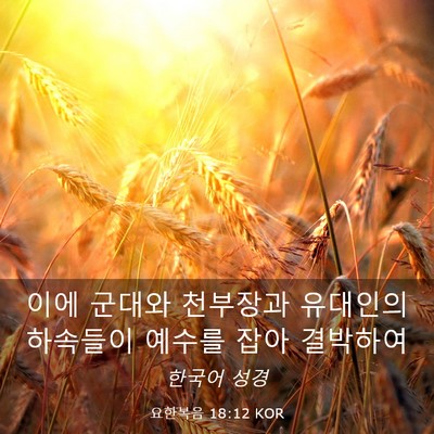 Picture 03 - 요한복음 18:12 KOR - 이에 군대와 천부장과 유대인의 - Bible Verse Picture