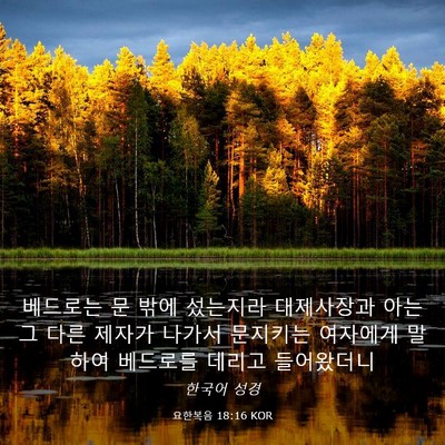 Picture 03 - 요한복음 18:16 KOR - 베드로는 문 밖에 섰는지라 - Bible Verse Picture