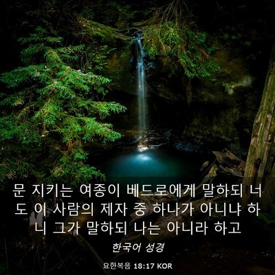 Picture 03 - 요한복음 18:17 KOR - 문 지키는 여종이 베드로에게 말하되 - Bible Verse Picture