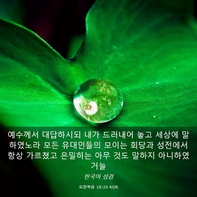 Picture 03 - 요한복음 18:20 KOR - 예수께서 대답하시되 내가 드러내어 - Bible Verse Picture