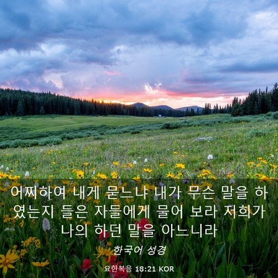 Picture 03 - 요한복음 18:21 KOR - 어찌하여 내게 묻느냐 내가 무슨 - Bible Verse Picture