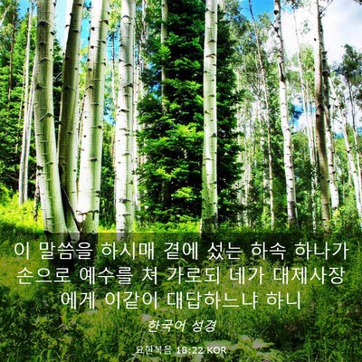Picture 03 - 요한복음 18:22 KOR - 이 말씀을 하시매 곁에 섰는 하속 - Bible Verse Picture