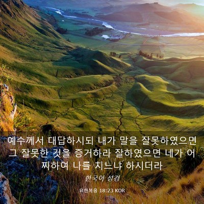 Picture 03 - 요한복음 18:23 KOR - 예수께서 대답하시되 내가 말을 - Bible Verse Picture