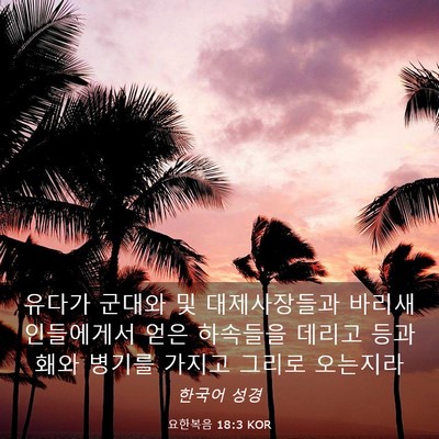 Picture 03 - 요한복음 18:3 KOR - 유다가 군대와 및 대제사장들과 - Bible Verse Picture