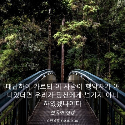 Picture 03 - 요한복음 18:30 KOR - 대답하여 가로되 이 사람이 행악자가 - Bible Verse Picture