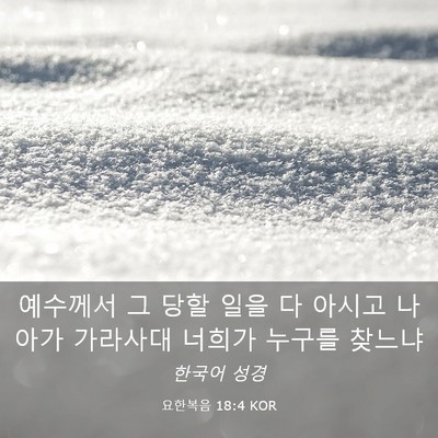 Picture 03 - 요한복음 18:4 KOR - 예수께서 그 당할 일을 다 아시고 - Bible Verse Picture