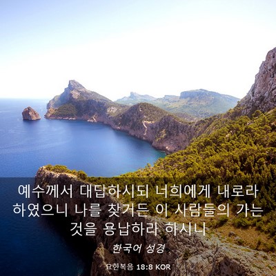 Picture 03 - 요한복음 18:8 KOR - 예수께서 대답하시되 너희에게 - Bible Verse Picture