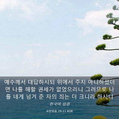 Picture 03 - 요한복음 19:11 KOR - 예수께서 대답하시되 위에서 주지 - Bible Verse Picture