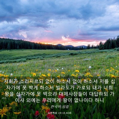 Picture 03 - 요한복음 19:15 KOR - 저희가 소리지르되 없이 하소서 없이 - Bible Verse Picture