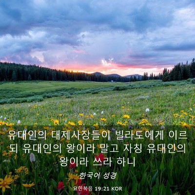Picture 03 - 요한복음 19:21 KOR - 유대인의 대제사장들이 빌라도에게 - Bible Verse Picture