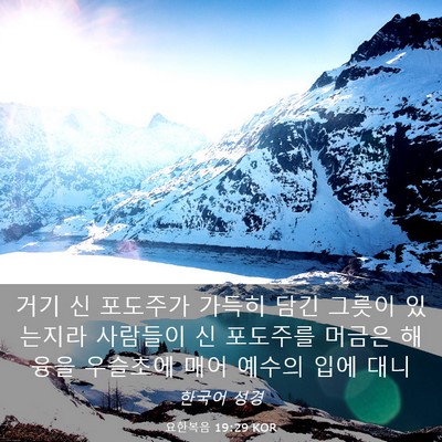 Picture 03 - 요한복음 19:29 KOR - 거기 신 포도주가 가득히 담긴 - Bible Verse Picture