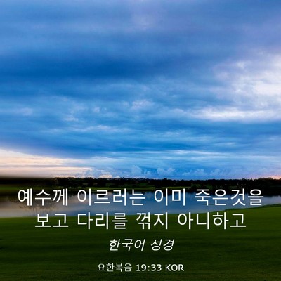 Picture 03 - 요한복음 19:33 KOR - 예수께 이르러는 이미 죽은것을 보고 - Bible Verse Picture