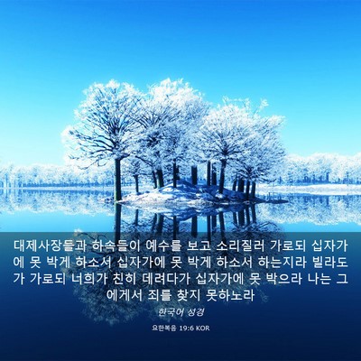 Picture 03 - 요한복음 19:6 KOR - 대제사장들과 하속들이 예수를 보고 - Bible Verse Picture