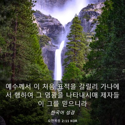 Picture 03 - 요한복음 2:11 KOR - 예수께서 이 처음 표적을 갈릴리 - Bible Verse Picture
