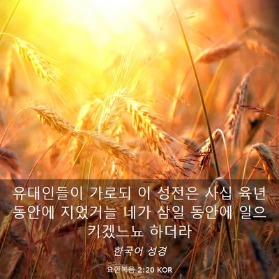 Picture 03 - 요한복음 2:20 KOR - 유대인들이 가로되 이 성전은 사십 - Bible Verse Picture