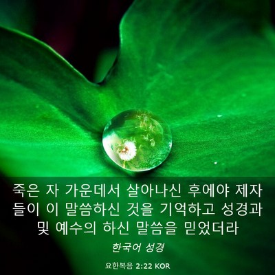 Picture 03 - 요한복음 2:22 KOR - 죽은 자 가운데서 살아나신 후에야 - Bible Verse Picture