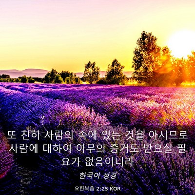 Picture 03 - 요한복음 2:25 KOR - 또 친히 사람의 속에 있는 것을 - Bible Verse Picture