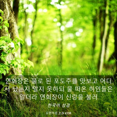 Picture 03 - 요한복음 2:9 KOR - 연회장은 물로 된 포도주를 맛보고 - Bible Verse Picture