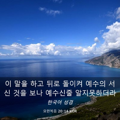 Picture 03 - 요한복음 20:14 KOR - 이 말을 하고 뒤로 돌이켜 예수의 - Bible Verse Picture