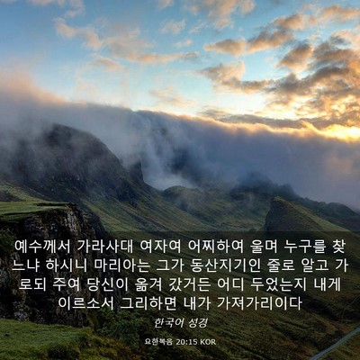 Picture 03 - 요한복음 20:15 KOR - 예수께서 가라사대 여자여 어찌하여 - Bible Verse Picture