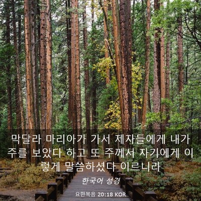 Picture 03 - 요한복음 20:18 KOR - 막달라 마리아가 가서 제자들에게 - Bible Verse Picture