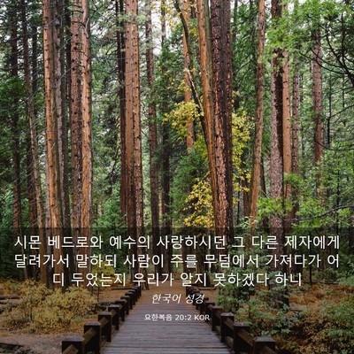 Picture 03 - 요한복음 20:2 KOR - 시몬 베드로와 예수의 사랑하시던 그 - Bible Verse Picture