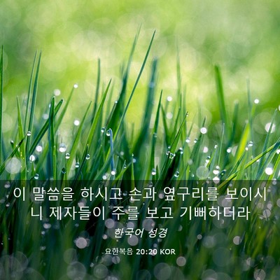 Picture 03 - 요한복음 20:20 KOR - 이 말씀을 하시고 손과 옆구리를 - Bible Verse Picture