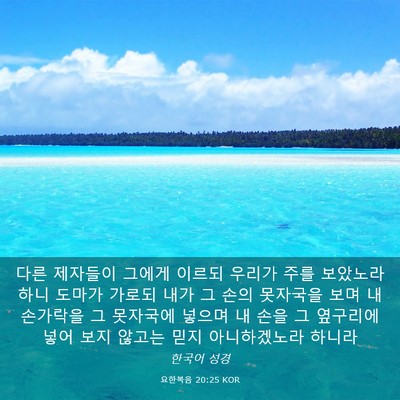 Picture 03 - 요한복음 20:25 KOR - 다른 제자들이 그에게 이르되 우리가 - Bible Verse Picture