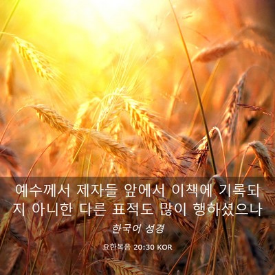 Picture 03 - 요한복음 20:30 KOR - 예수께서 제자들 앞에서 이책에 - Bible Verse Picture