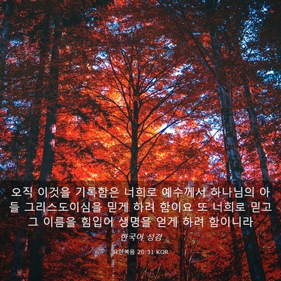 Picture 03 - 요한복음 20:31 KOR - 오직 이것을 기록함은 너희로 - Bible Verse Picture