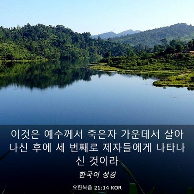 Picture 03 - 요한복음 21:14 KOR - 이것은 예수께서 죽은자 가운데서 - Bible Verse Picture